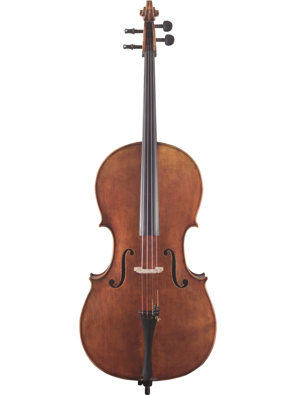 Haddock Cello — Maple Leaf Strings